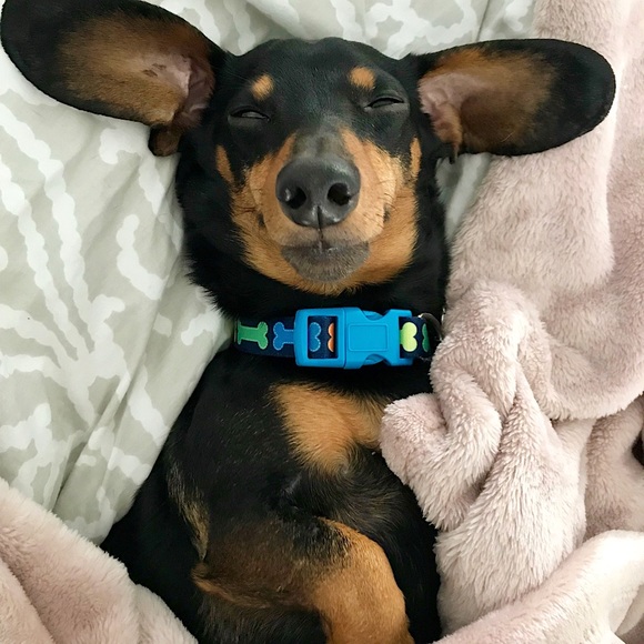 💟💟💟 - Picture 5 of 8